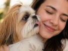 Uma mulher sorri com os olhos fechados enquanto abraça um cachorro Shih Tzu de pelagem dourada e branca. O cachorro está olhando para ela e lambendo o ar perto do rosto dela com a língua para fora. A imagem captura um momento afetuoso onde o odor da boca do cão seria mais perceptível, servindo como ilustração para o tema de mau hálito em Shih Tzu. O fundo está desfocado.