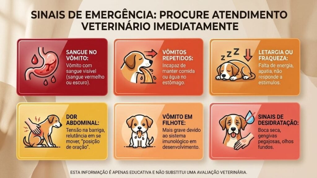 Shih Tzu Vomitando: Principais Causas, Quando é Grave e o Que Fazer Imediatamente 4 Infográfico em grade detalhando os sinais de emergência que exigem atendimento veterinário urgente para um Shih Tzu vomitando. A imagem apresenta seis blocos coloridos com ícones ilustrativos sobre sangue no vômito, vômitos repetidos, letargia ou fraqueza, dor abdominal, vômito em filhote e sinais de desidratação.