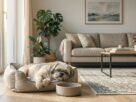 Fotografia de um cachorro da raça Shih Tzu de pelagem clara deitado de forma apática em sua caminha de tecido cinza. Ele está ao lado de sua tigela de ração intocada em uma sala de estar decorada, ilustrando os sinais de um Shih Tzu vomitando ou com enjoo.